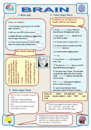 English Worksheet: BRAIN - IT IS AMAZING! Part1