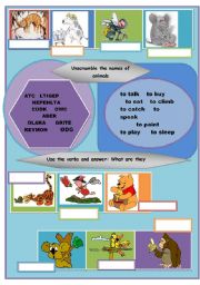 English worksheet: Animals, animals