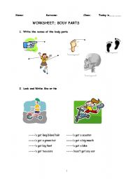 English worksheet: body parts