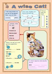 English Worksheet: A WISE CAT! Revision for kids.