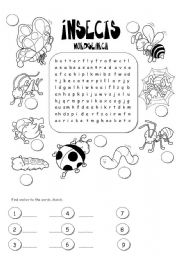 nsects wordsearch