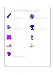 English Worksheet: Human Body