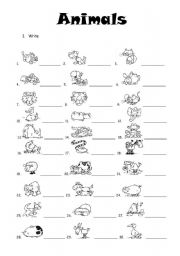 English Worksheet: Animals