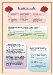 English Worksheet: Conditionals