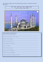 English Worksheet: What is David doing in Istanbul?