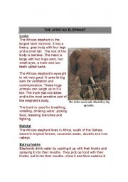 English worksheet: reading about elephant