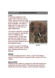 English Worksheet: reading about elephant