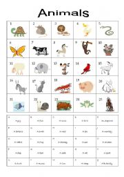 English Worksheet: Animals