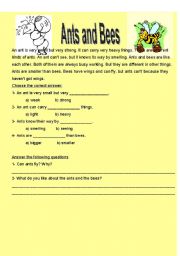 English Worksheet: ants and bees