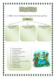 English Worksheet: Rainforests