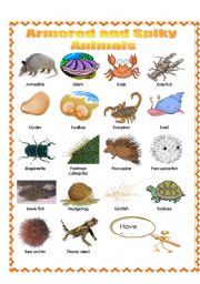 English Worksheet: Armored and Spiky Animals