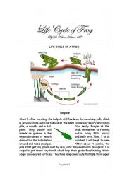 English Worksheet: Life Cycle of Frog