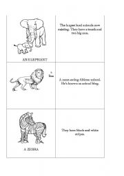 English Worksheet: ZOO ANIMALS