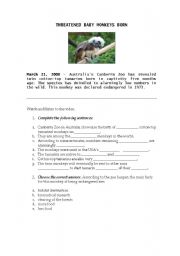 English worksheet: Listening: Animals