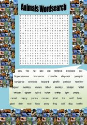 English Worksheet: ANIMAL SEARCH
