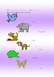 English worksheet: Animals