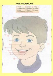 English Worksheet: FACE