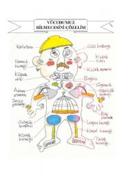 English Worksheet: vcudumuz