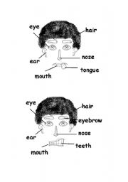 coloring pages of eyes nose and mouth