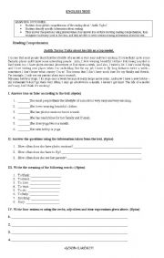 English Worksheet: reading comprehension / english test