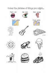 English Worksheet: The 5 Senses