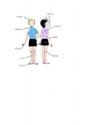 English worksheet: Parts of the Body - Easy