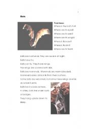 English Worksheet: Bats