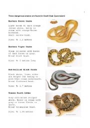 Snakes (Part 2 of 3) - ESL worksheet by Apodo