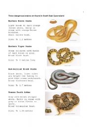 English Worksheet: Snakes (Part 2 of 3)