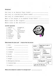 English Worksheet: Snakes (Part 3 of 3)