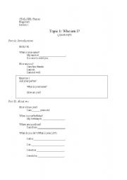 English worksheet: Introductory lesson