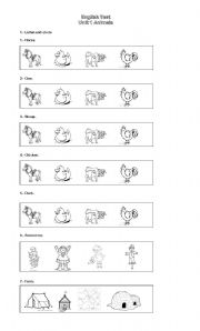 English worksheet: TEST ANIMALS