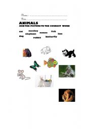 English worksheet: Animals vocabulary