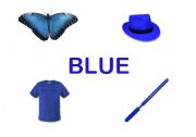 English Worksheet: blue