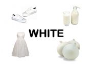 English Worksheet: white