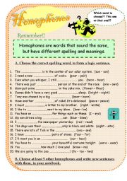 English Worksheet: homophones