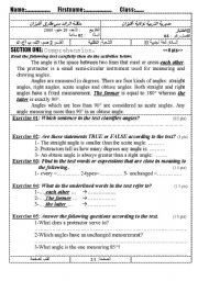 English worksheet: The angle (Author-Bouabdellah)