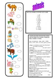 English Worksheet: ANIMALS