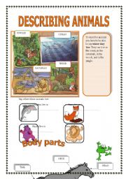 English Worksheet: Describing animals (part 1/2)