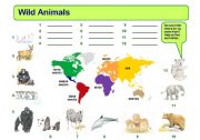 English Worksheet: Wild Animals