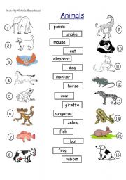 English Worksheet:  Match the Animals