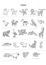 English Worksheet: animals