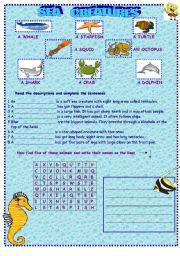 English Worksheet: Sea creatures