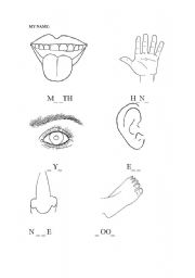 English Worksheet: PARTS OF BODY