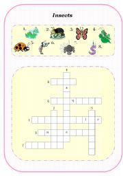 English Worksheet: Insects