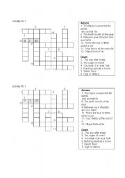 English Worksheet: Basic Vocabulary