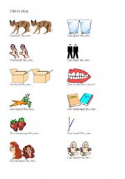 English Worksheet: the plural