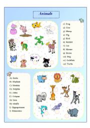 English Worksheet: Animals