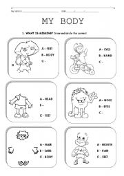 English Worksheet: BODY