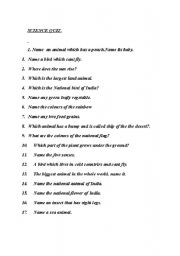 English Worksheet: quiz